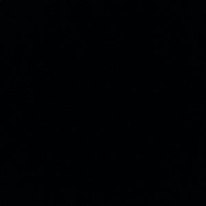 Meet your Posher, Faith